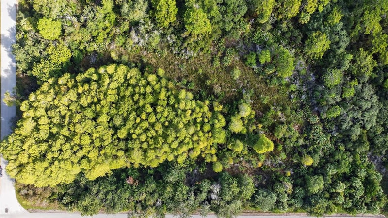 17010 Ridgeline Trl, Hudson, FL 34667