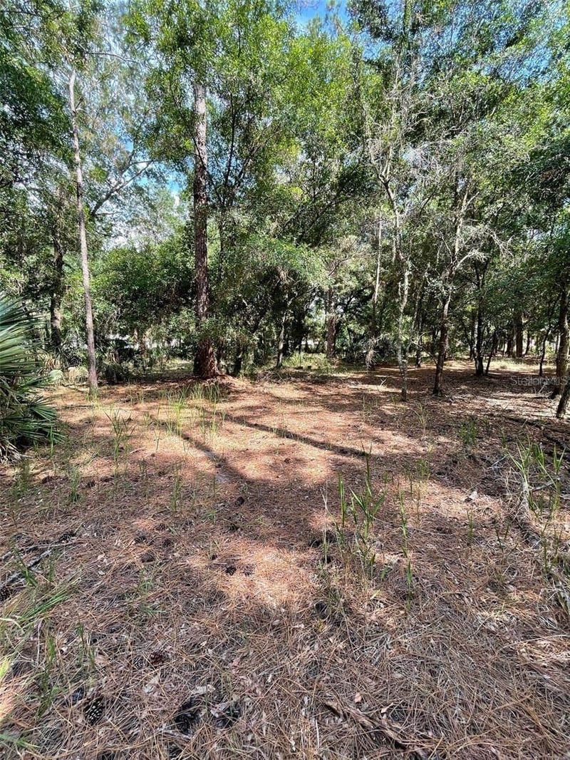 Thunderhead St, Wesley Chapel, FL 33544