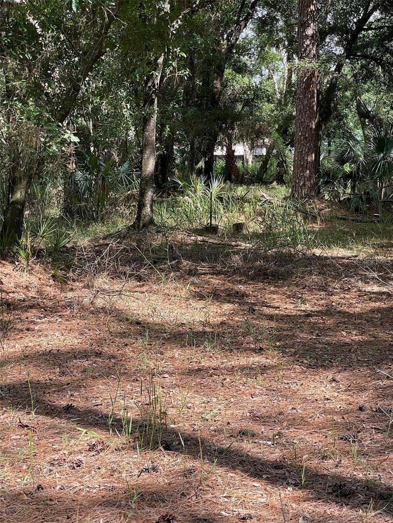 Thunderhead St, Wesley Chapel, FL 33544