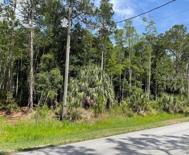Thunderhead St, Wesley Chapel, FL 33544