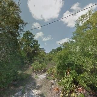 Hedges St, New Port Richey, FL 34654