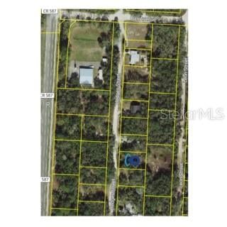 Hedges St, New Port Richey, FL 34654
