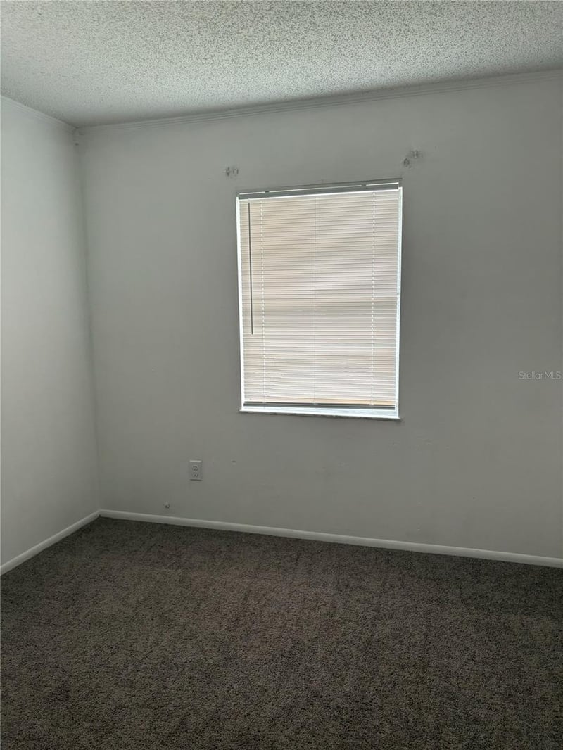 38545 Patti Ln, Dade City, FL 33523