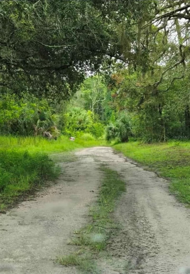 Ladd Ave, New Port Richey, FL 34654