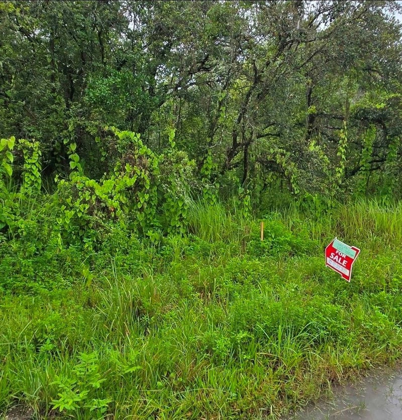 Ladd Ave, New Port Richey, FL 34654