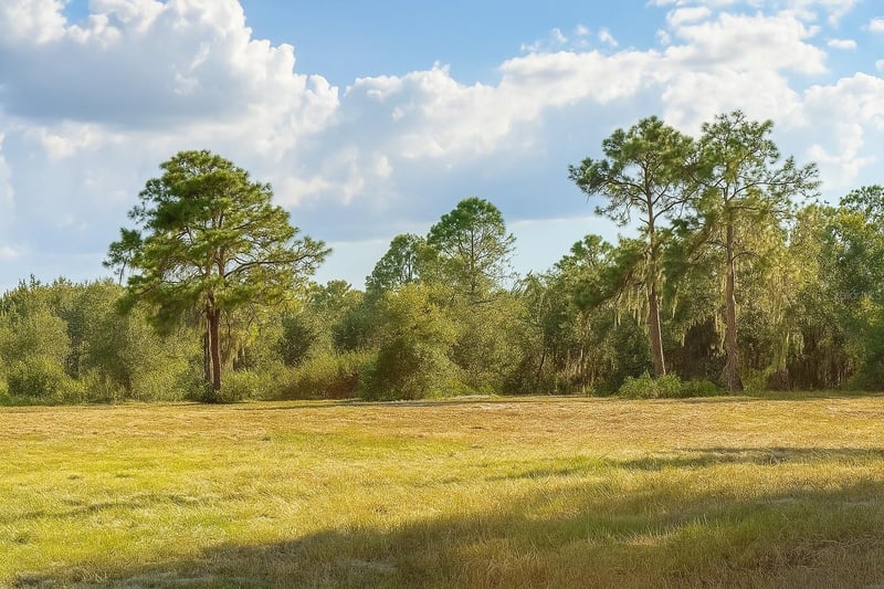 1205-1209 Alexander St, Plant City, FL 33563