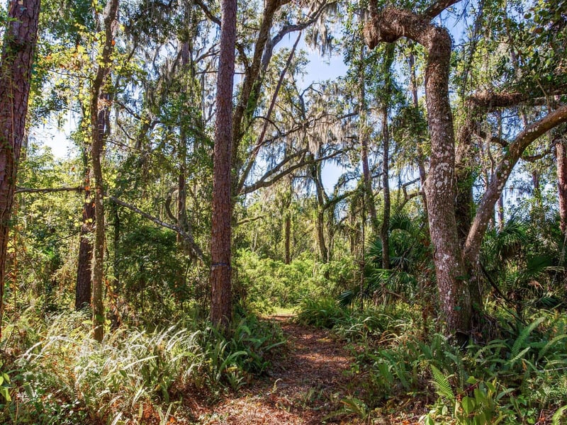 Drawdy Rd, Plant City, FL 33567