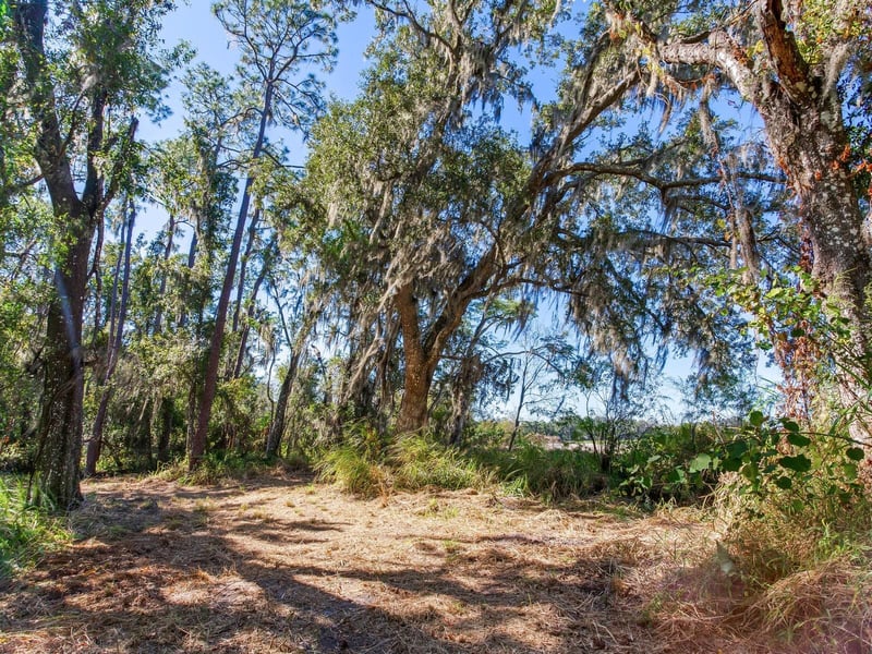 Drawdy Rd, Plant City, FL 33567