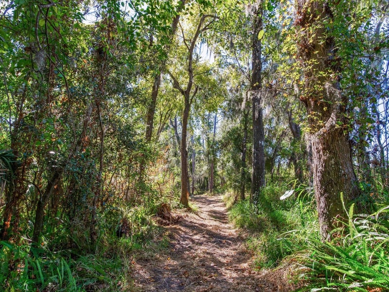 Drawdy Rd, Plant City, FL 33567