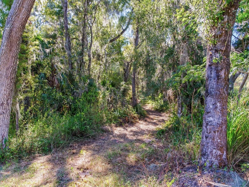 Drawdy Rd, Plant City, FL 33567