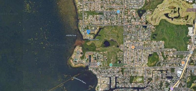 1137 Florida Ave, Tarpon Springs, FL 34689