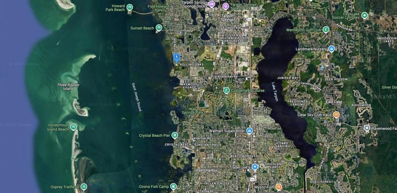 1137 Florida Ave, Tarpon Springs, FL 34689