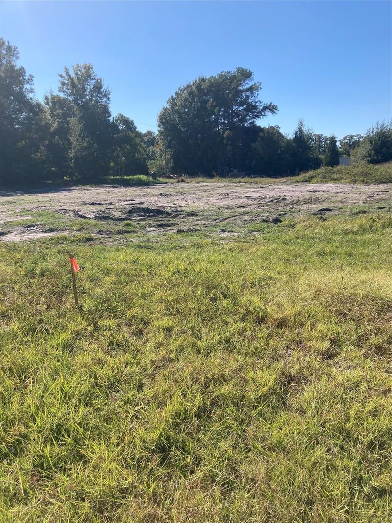6277 Tower Rd, Land O Lakes, FL 34638