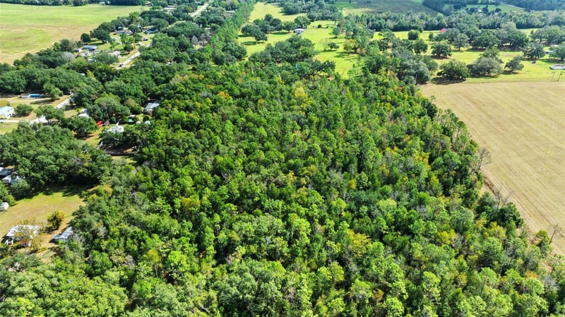 Shenna Ln, Zephyrhills, FL 33540