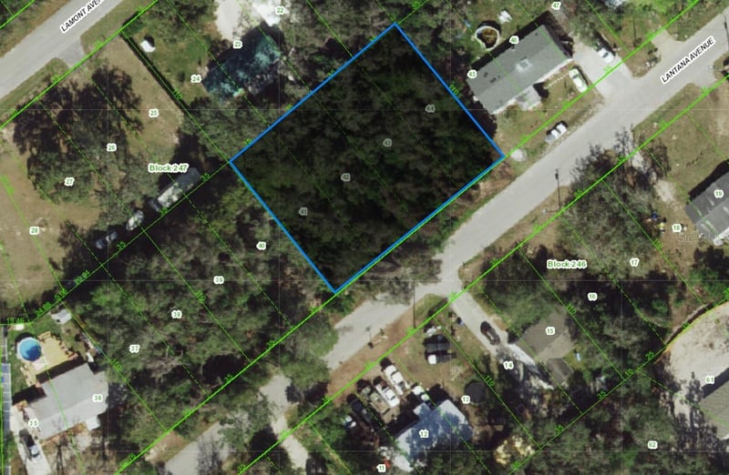 Lantana Ave, New Port Richey, FL 34654