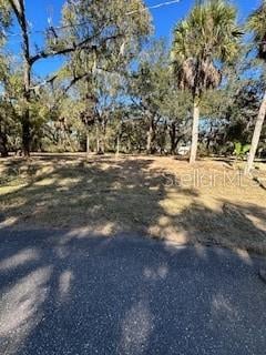 1204 Davies Rd, Brandon, FL 33511