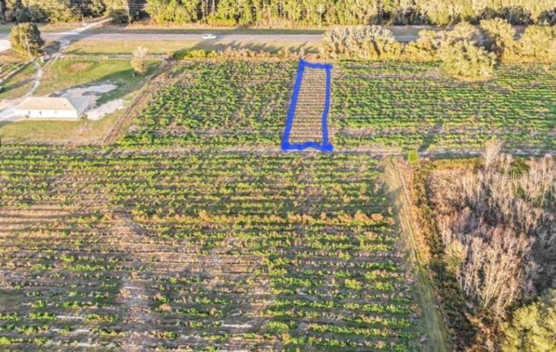 00 Hwy 98 , Dade City, FL 33523