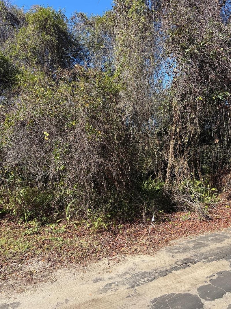 Pana St, New Port Richey, FL 34654