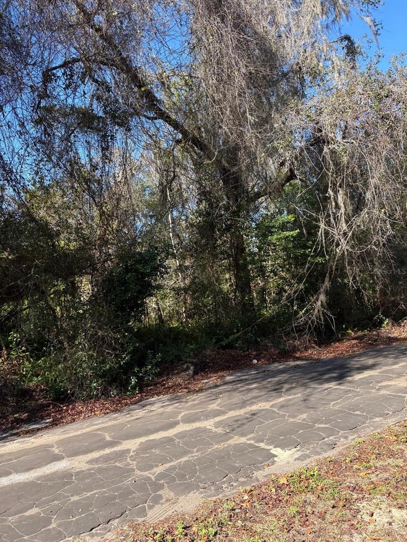 Pana St, New Port Richey, FL 34654