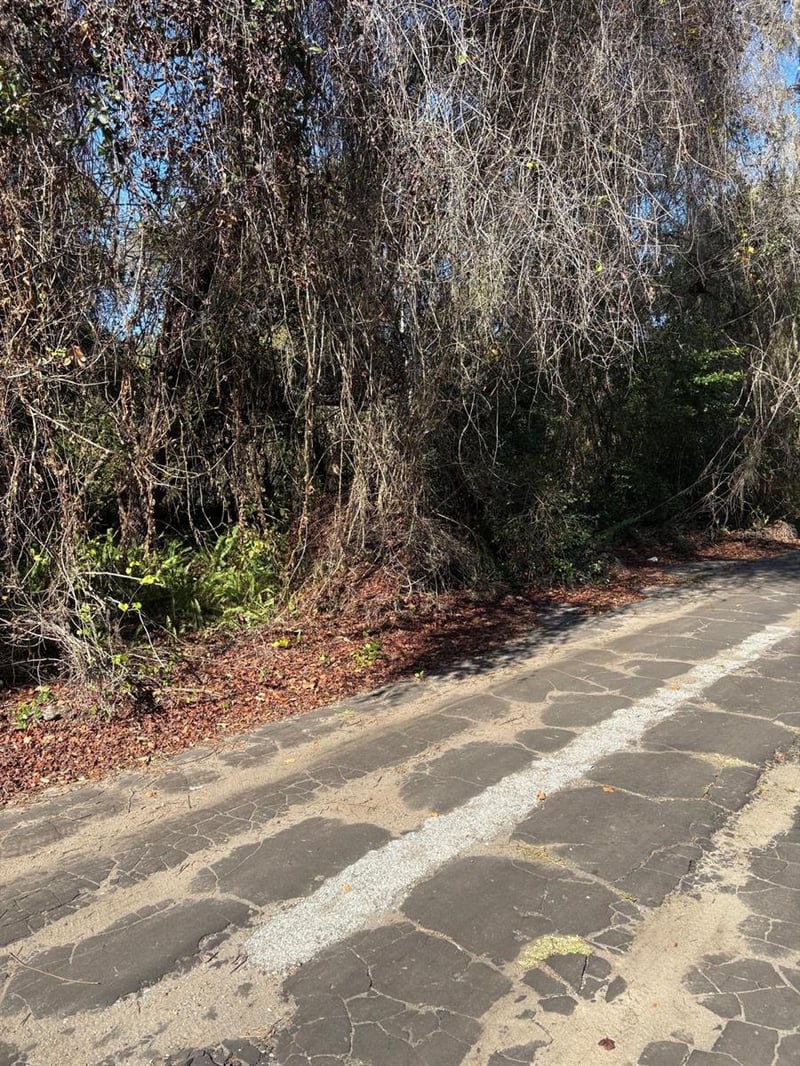 Pana St, New Port Richey, FL 34654