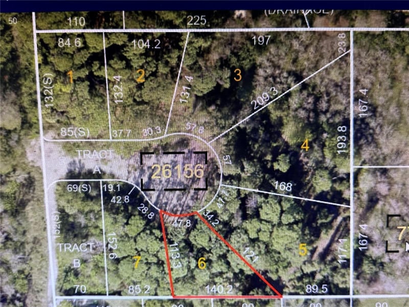 1298 Almaria Ct, Palm Harbor, FL 34683
