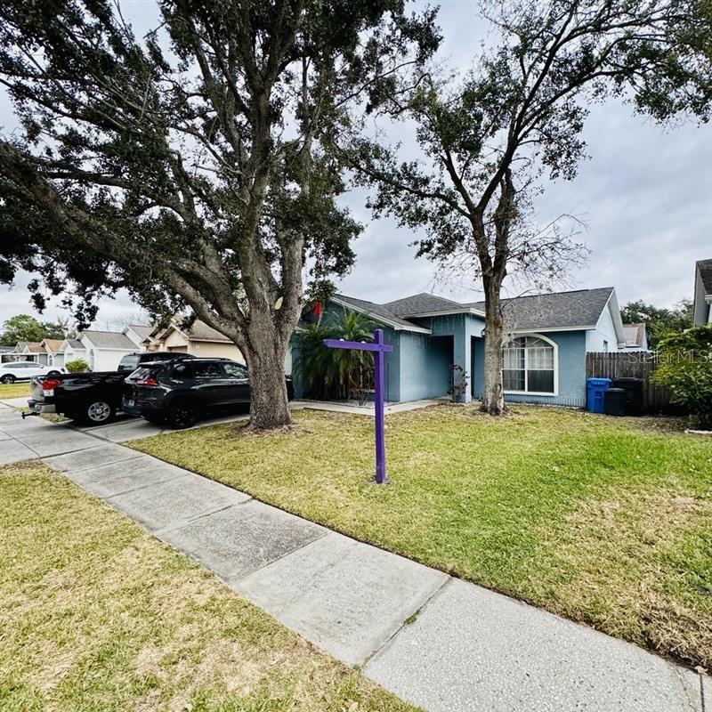 8225 Riverboat Dr, Tampa, FL 33637