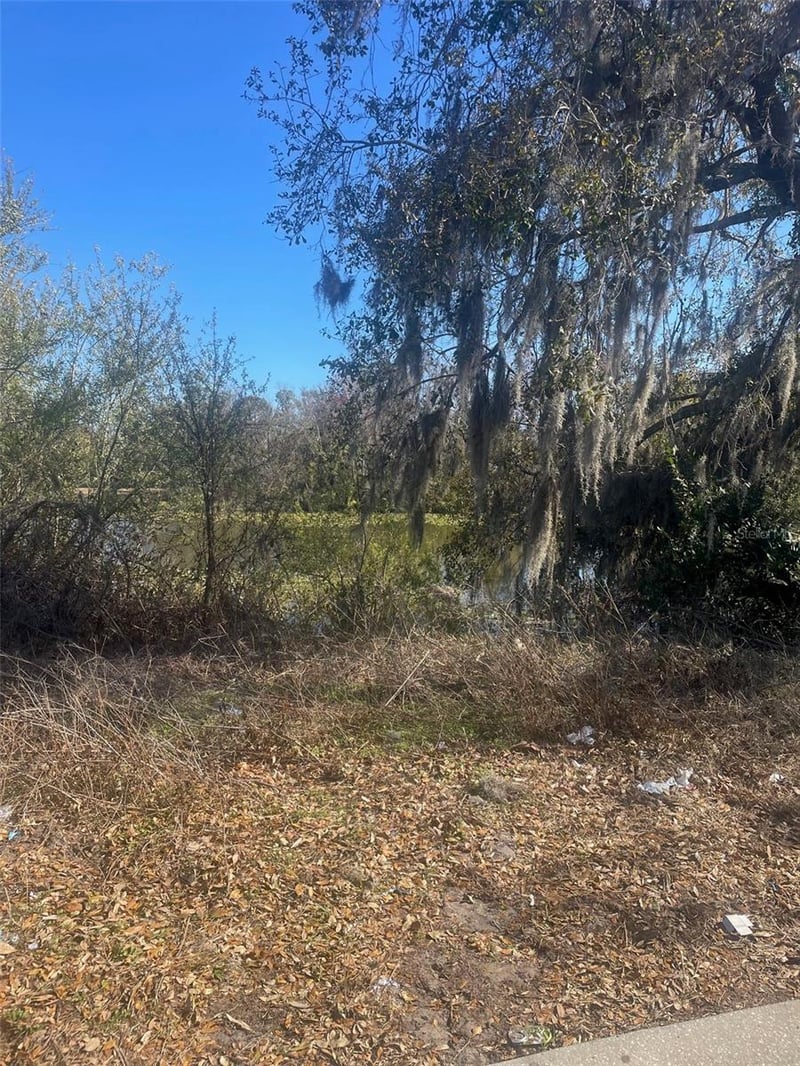 3301 Lake Dr, Plant City, FL 33563