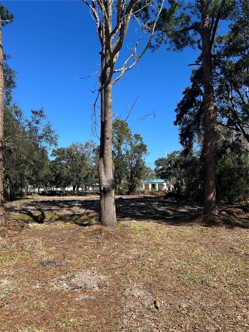 5927 Lynn Rd, Tampa, FL 33624