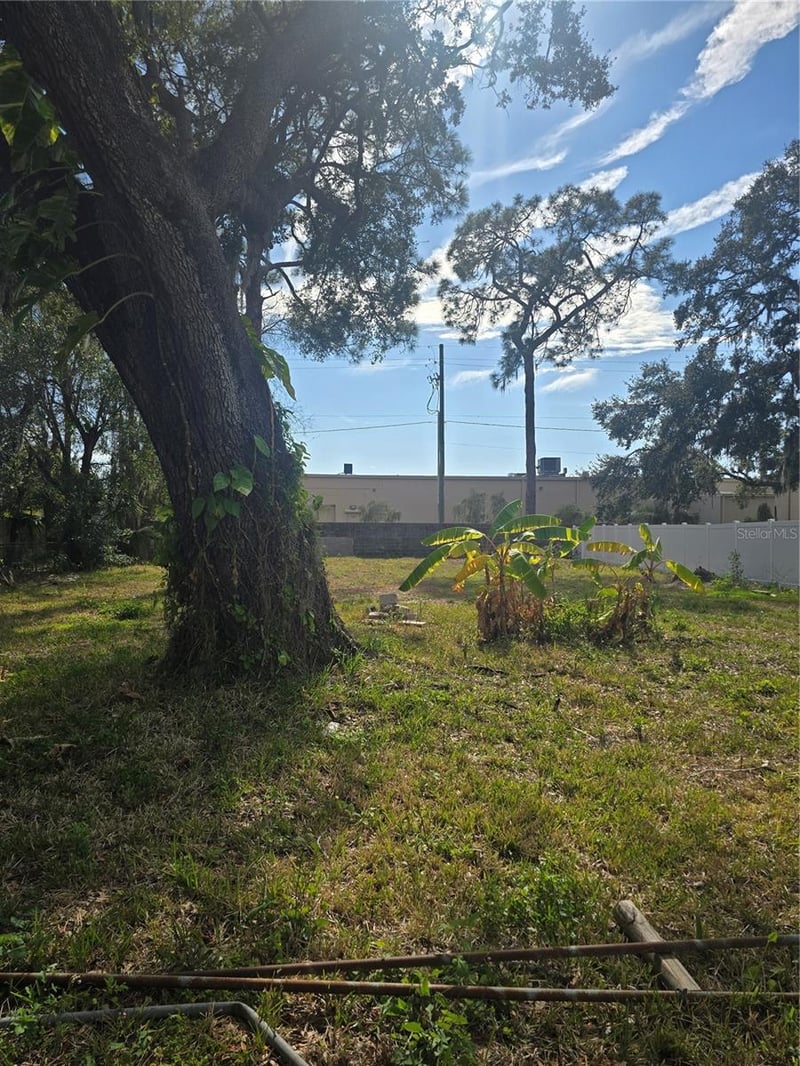 8506 Sunbean Ln, Tampa, FL 33615