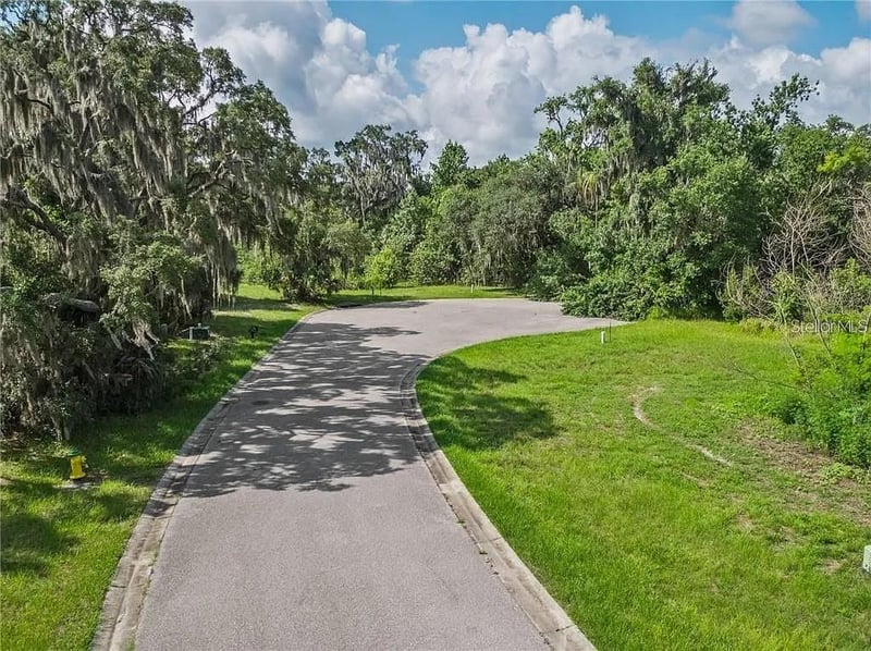 8353 Alafia Pointe Dr, Riverview, FL 33578