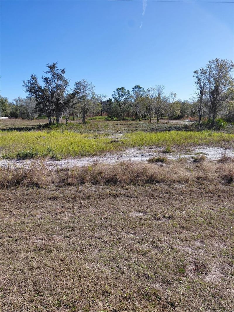 39925 20th Pl, Myakka City, FL 34251