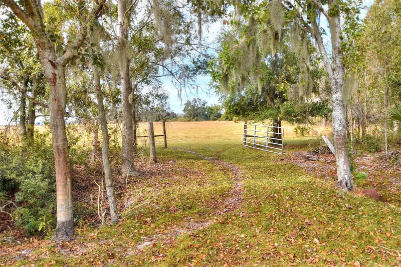 Colding Loop, Wimauma, FL 33598
