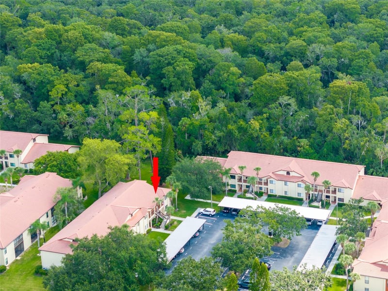 1801 Lake Rd #11D, Palm Harbor, FL 34685