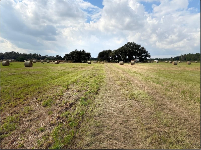 13029 County Road 39, Lithia, FL 33547