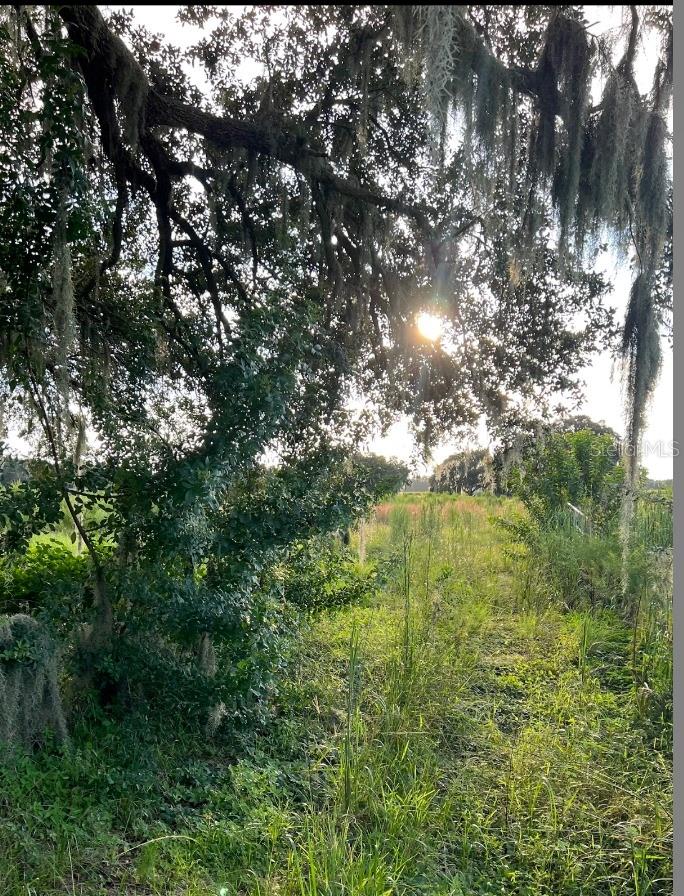 13029 County Road 39, Lithia, FL 33547