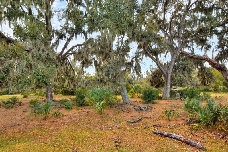 Carlton Lake Rd, Wimauma, FL 33598