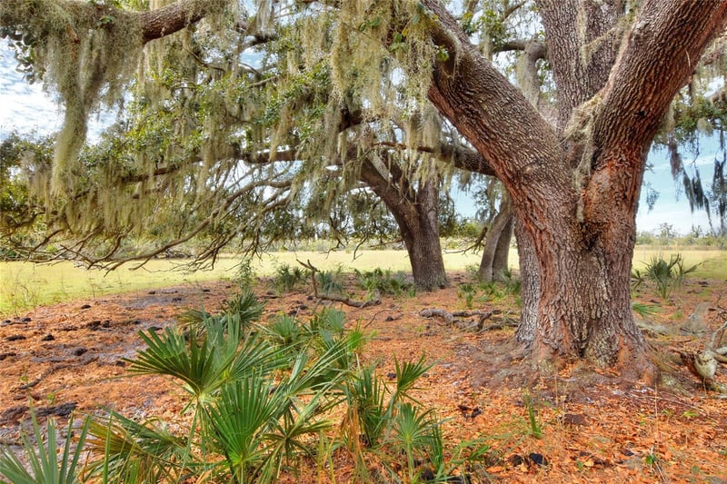 Carlton Lake Rd, Wimauma, FL 33598