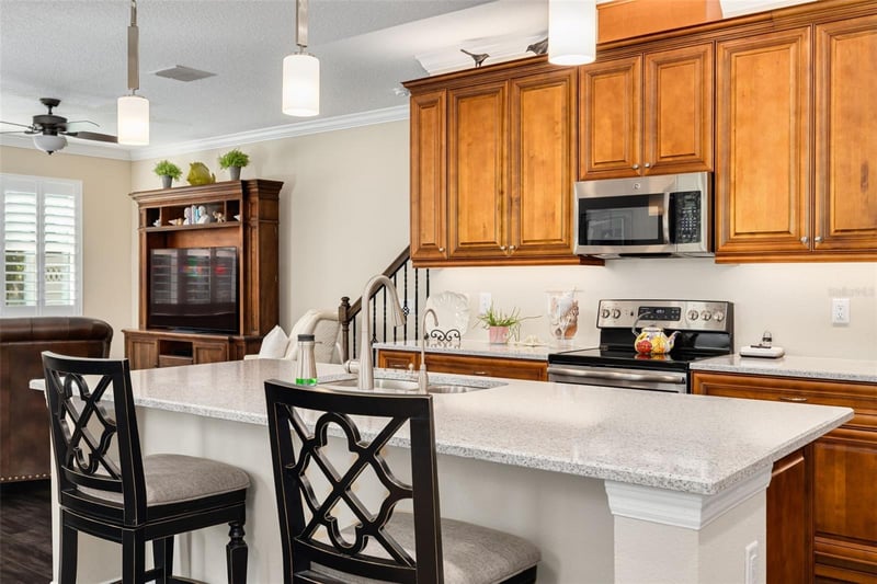 11418 Crowned Sparrow Ln, Tampa, FL 33626