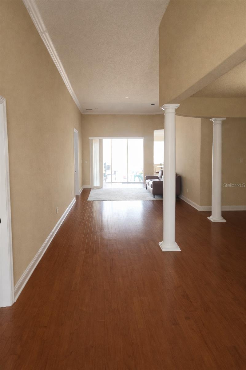 5810 Candytuft Pl, Land O Lakes, FL 34639