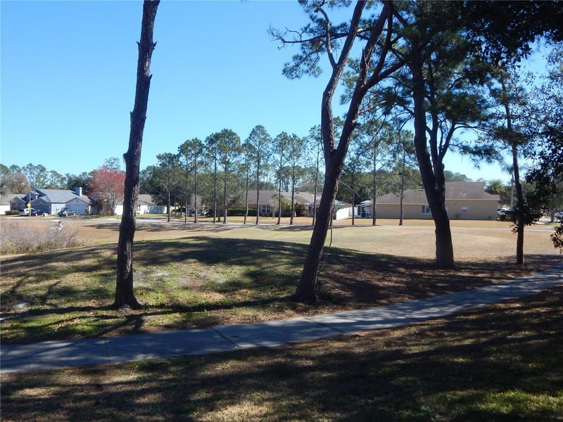 5632 Autumn Shire Dr, Zephyrhills, FL 33541