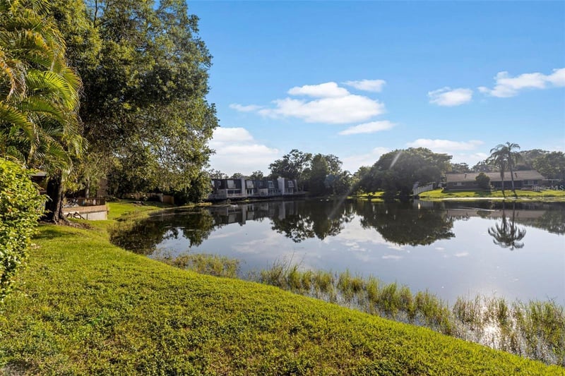 10423 Carrollbrook Cir #203, Tampa, FL 33618