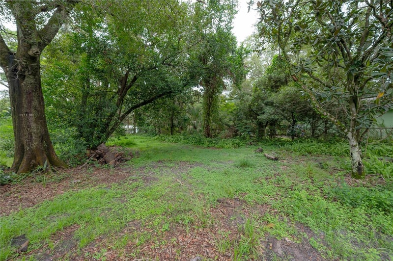 10411 12 Woodmere Rd, Tampa, FL 33617