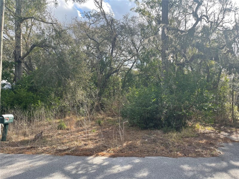 10024 Oana St, New Port Richey, FL 34654