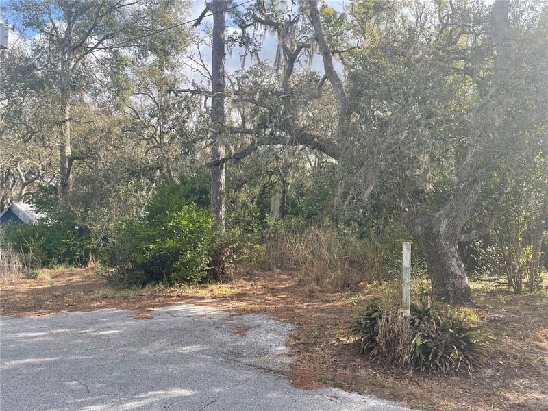 10024 Oana St, New Port Richey, FL 34654