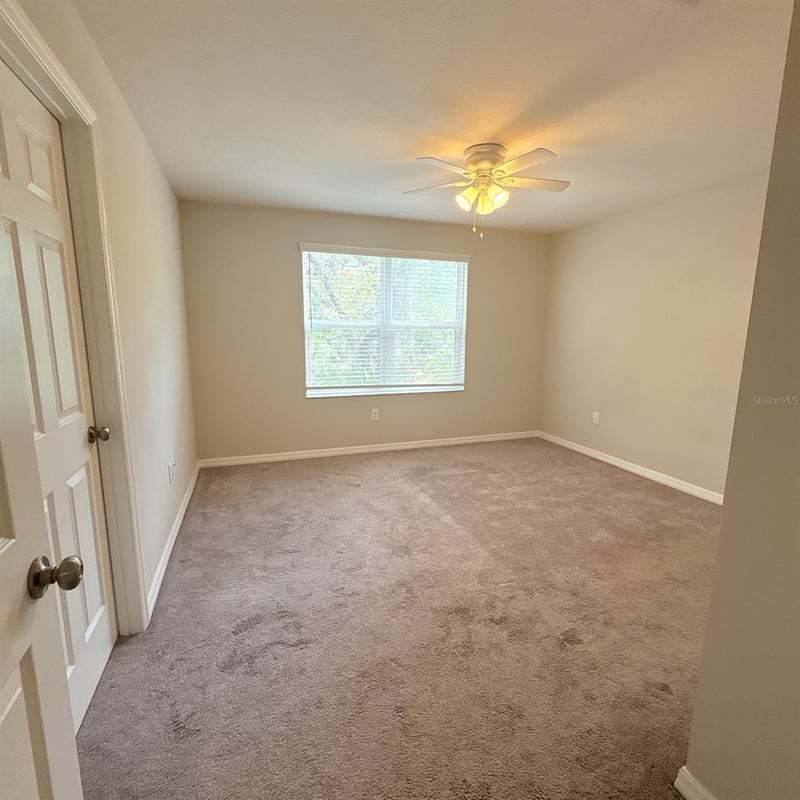 7234 Grand Elm Dr, Riverview, FL 33578