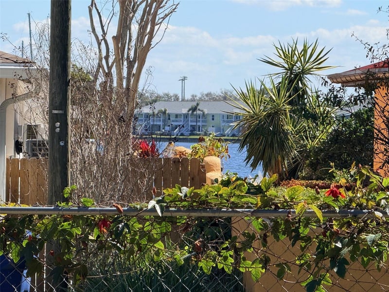 Ling A Mor Ter, St Petersburg, FL 33705