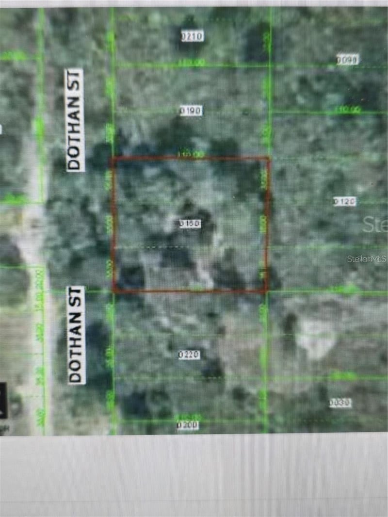 Dothan , New Port Richey, FL 34654