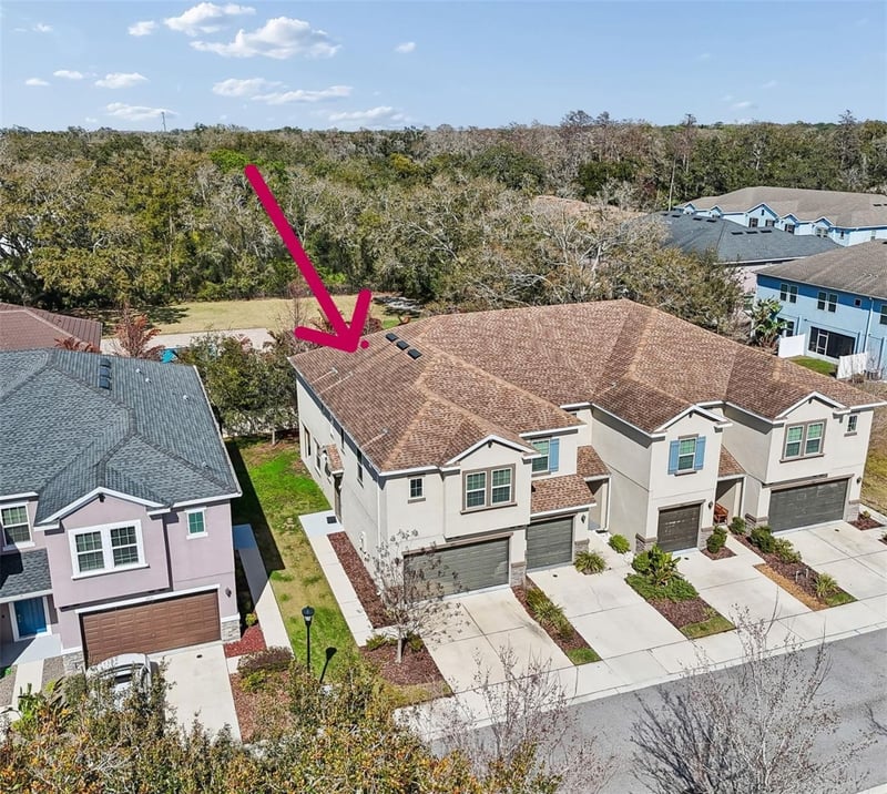 6867 Citrus Creek Ln, Tampa, FL 33625
