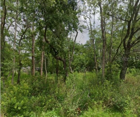 5728 Elaine Dr, Zephyrhills, FL 33541
