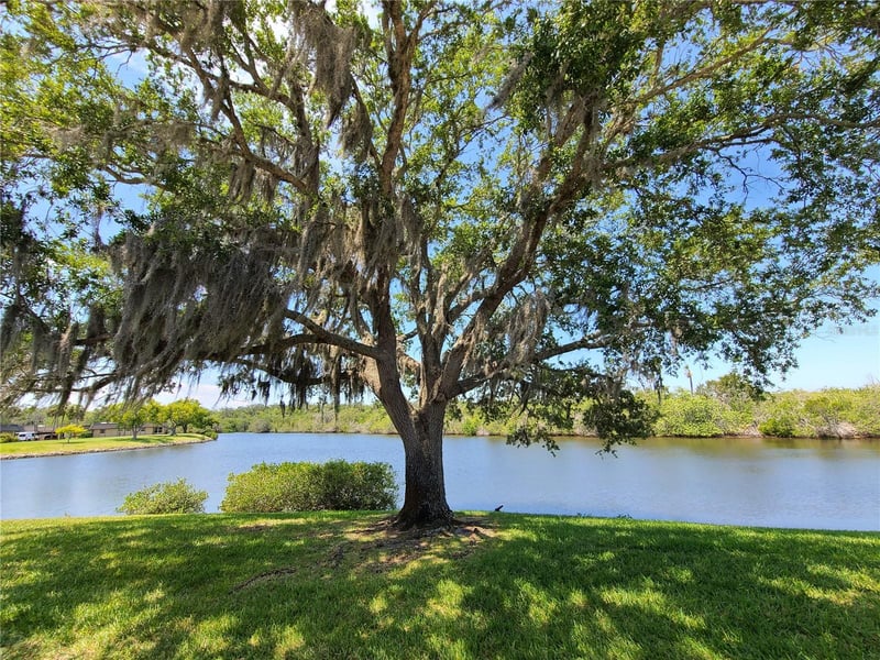 4120 Stratford Dr, New Port Richey, FL 34652